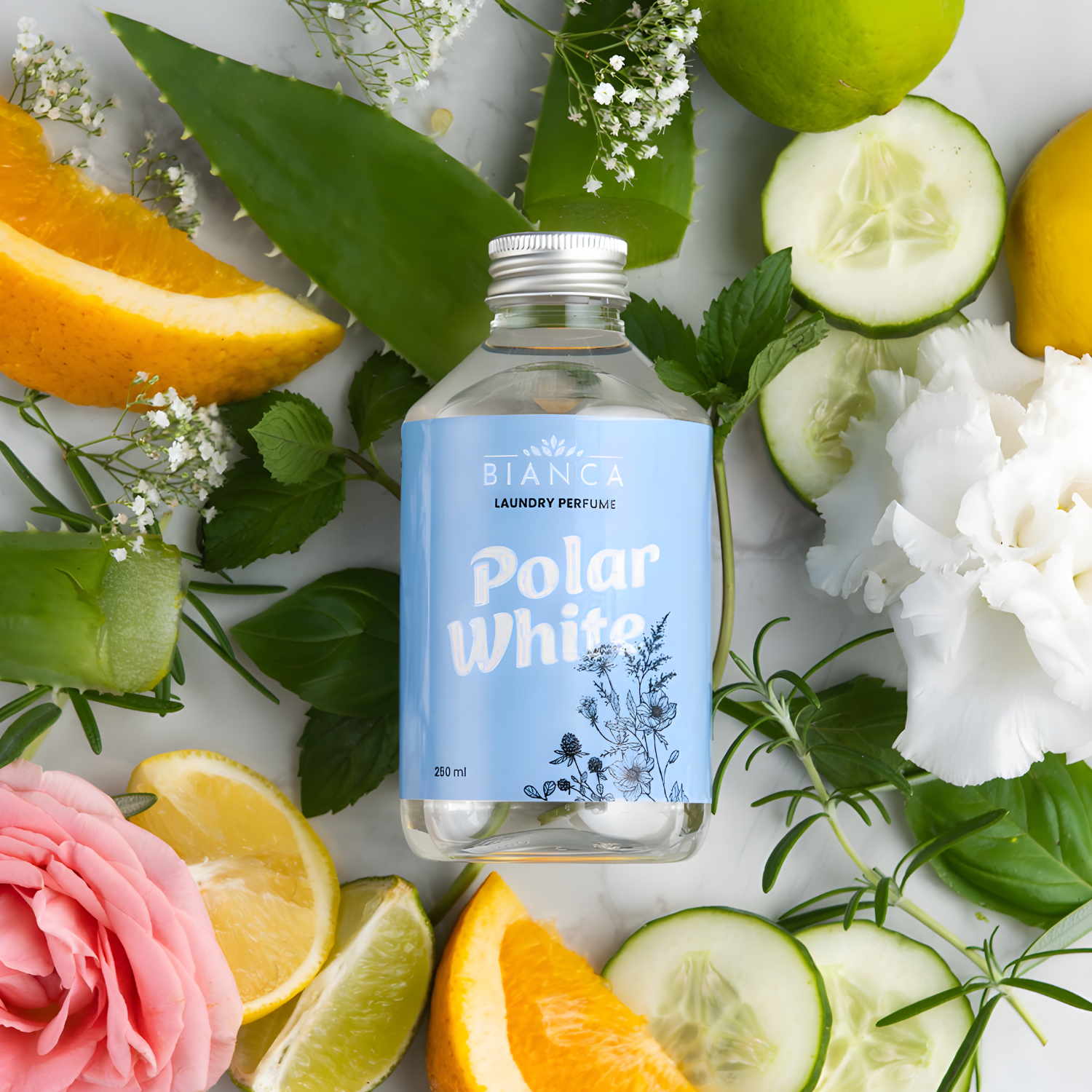Polar White - MyBianca.com